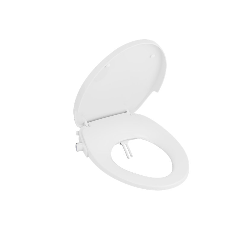 Niagara Elongated Toilet Seat Bidet Wayfair